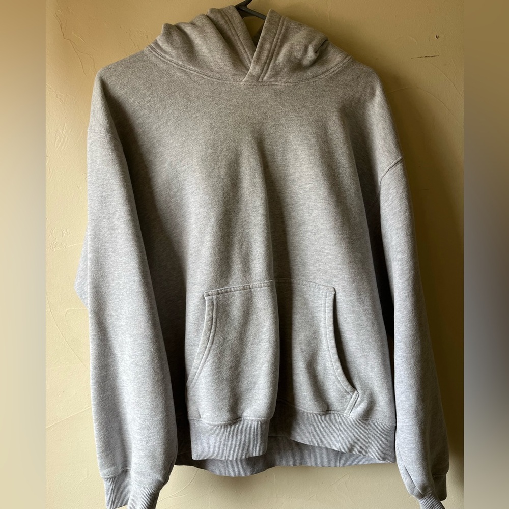 Aritzia Hoodie